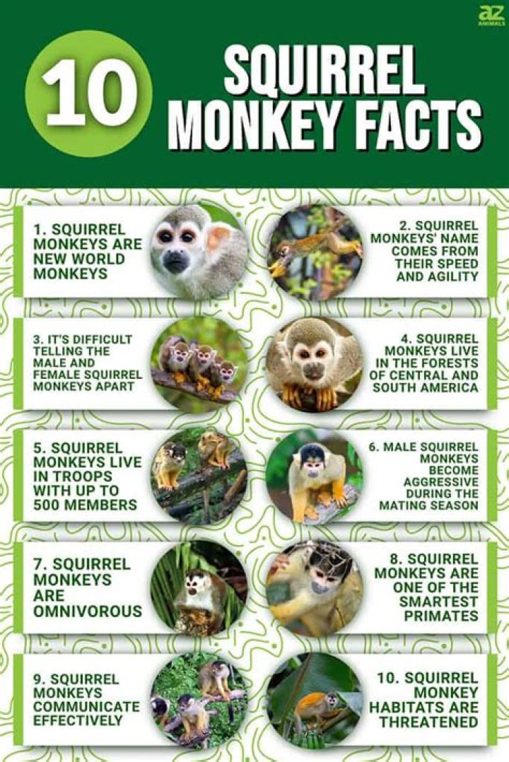 10 Essential Facts From Wikipedia