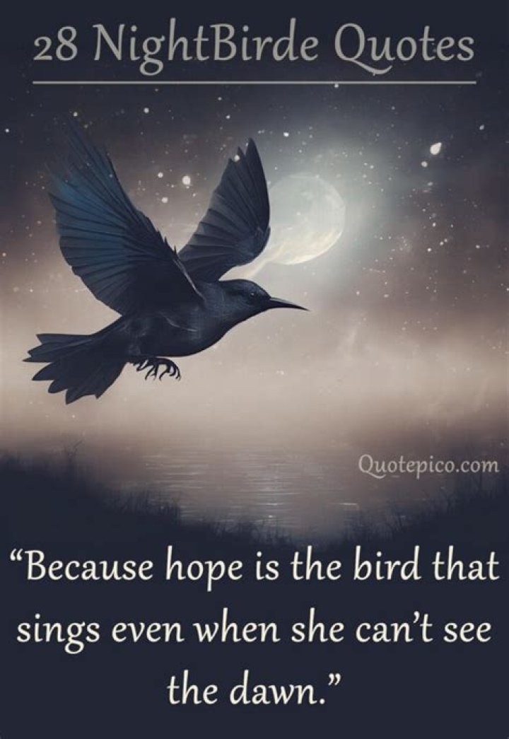 A Deeper Insight Into Nightbirde's Life And Legacy