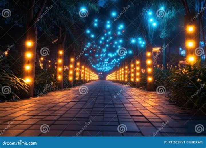 A Festive Journey Of Enchantment