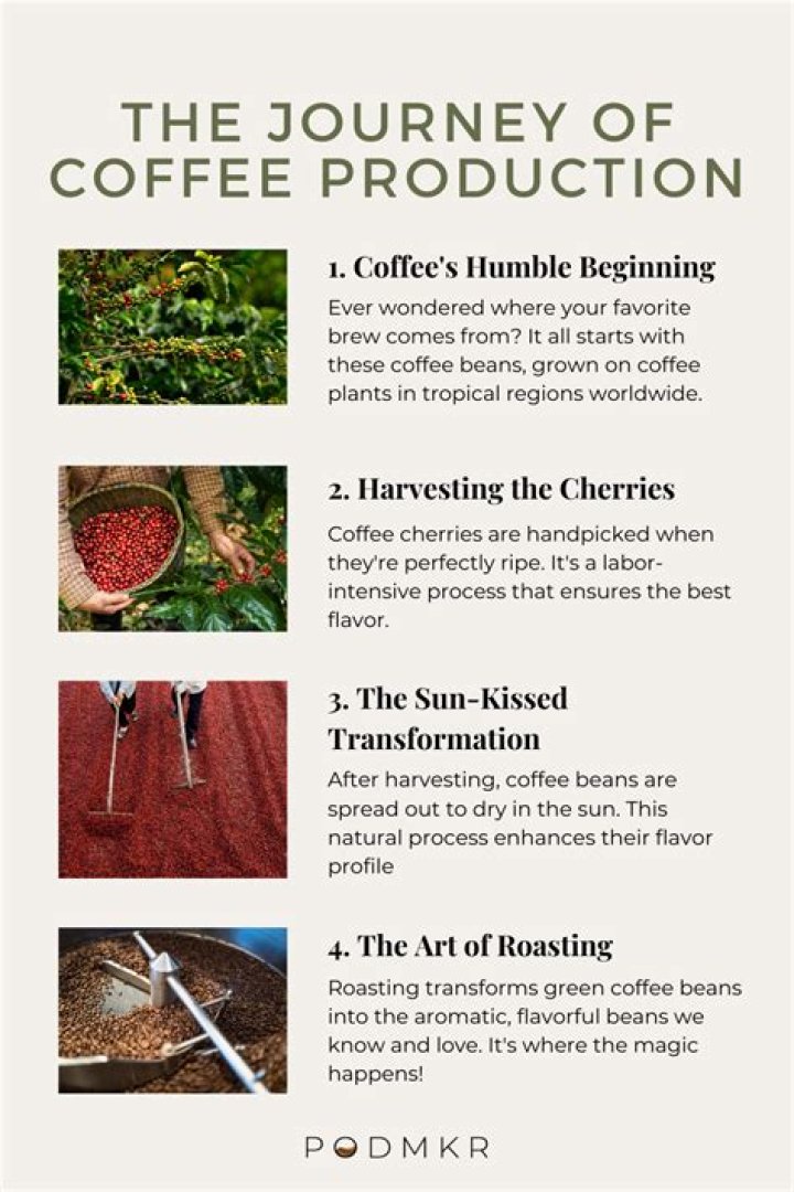A Journey Of Coffee, Sustainability, And