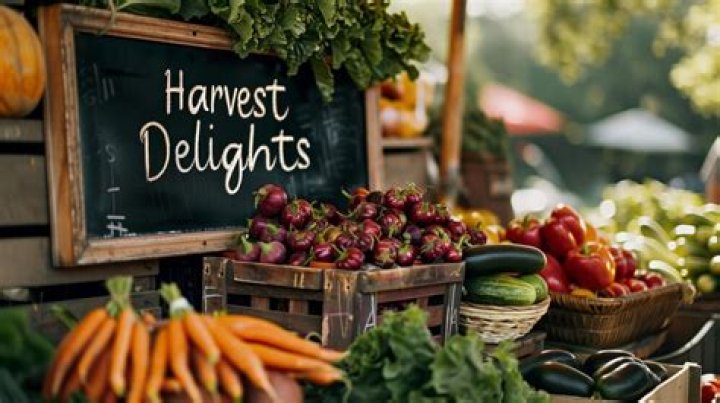A Journey Of Harvest Delights
