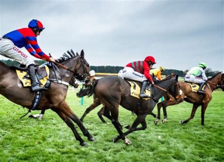 A Journey Of Horse Racing Excellence