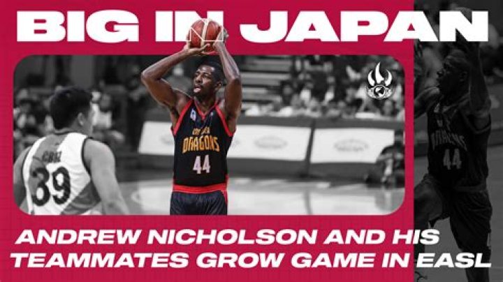 Andrew Nicholson - WebBlog