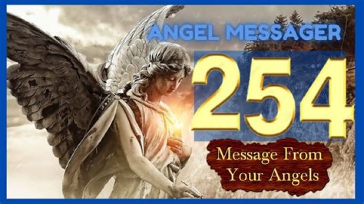 ANGEL NUMBER 254