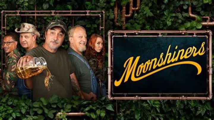 Delving Into "Moonshiners Show Fake"