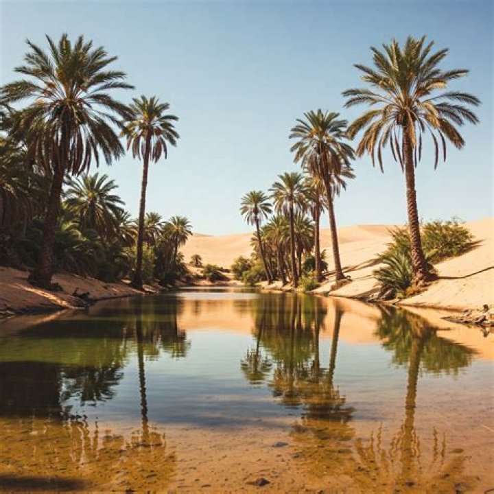 Discover Hidden Oasis And Panoramic Delights