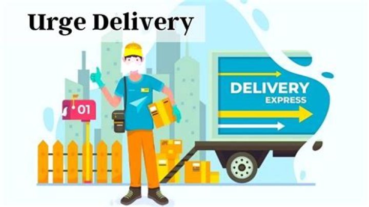Discover The Secrets Of Urge Delivery On SHEIN: Get Your Items Faster!