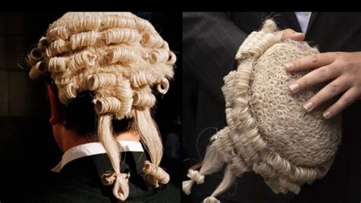 Discoveries And Insights Beyond The Wigs