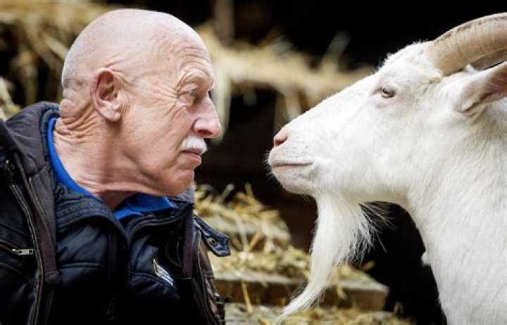 Dr. Pol