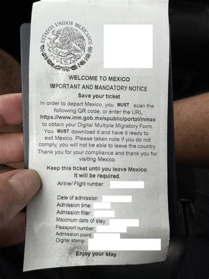Dragon Lee Not Permitted To Leave Mexico After Experiencing Unexpected Visa Issues