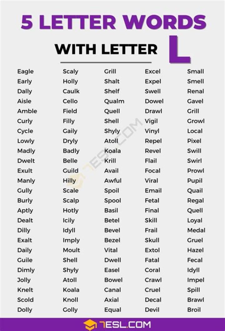 Dull person 7 Little Words Answers with 5 letters