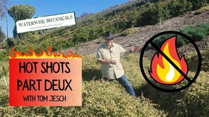 Eva Mendes' Hot Shots - JoltVibe