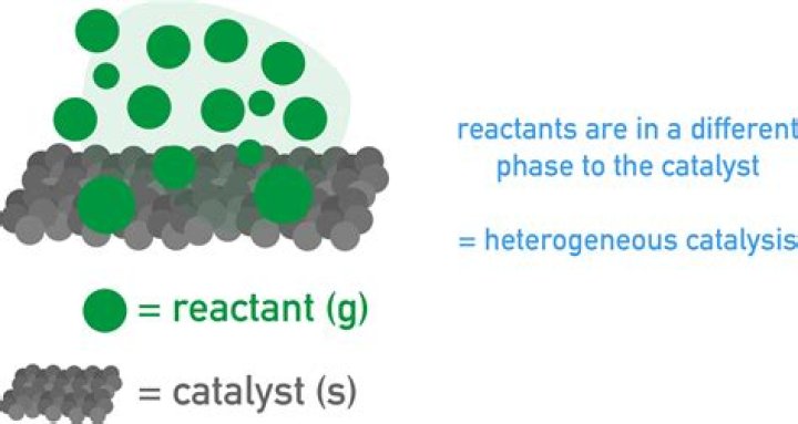 Height As A Catalyst For Success