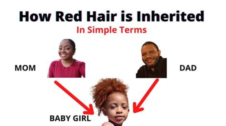 How is red hair inherited? |