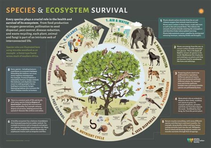 How Many Animals Call Earth Home?
