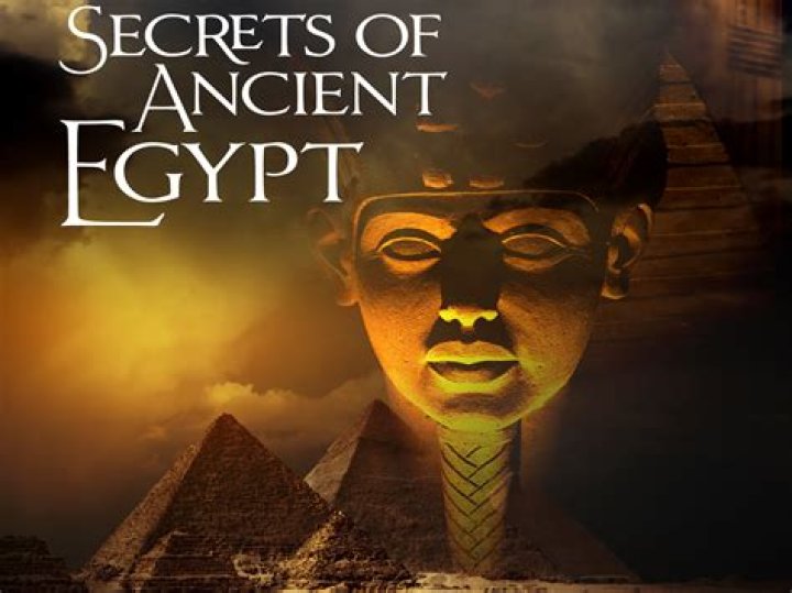 How To Uncover The Secrets Of "Myles Jonathan Brando The Son Of A"