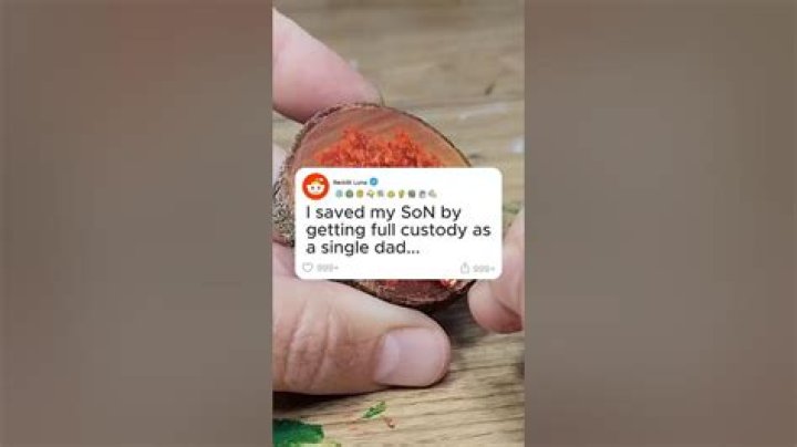 "I Saved My Son By Getting Full Custody"