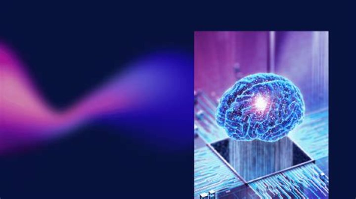 Inspiring Insights And Unforgettable Discoveries