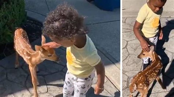 Jarvis Landry's Daughter Befriends Baby Deer In Most Adorable Video E
