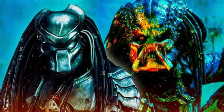 Kyle Massey Predator Case And Its Shocking Revelations