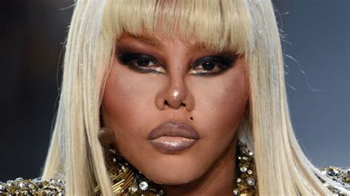 Lil Kim Domestic Abuse Charges, Husband Jeremy Neil - Plastic Surgery Update