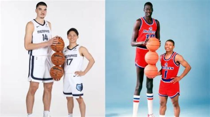Manute Bol's Height, Weight, Age, Family, And Inspiring Legacy
