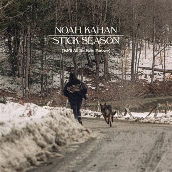 Noah Kahan New Perspective Lyrics know the real meaning of Noah Kahan's New Perspective Song Lyrics