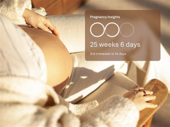 Pregnancy Rumors UnraveledDiscoveries And Insights