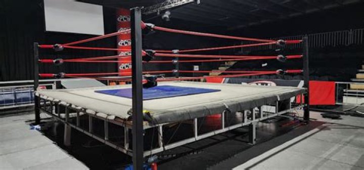 Secrets Of A Wrestling Titan's Wealth