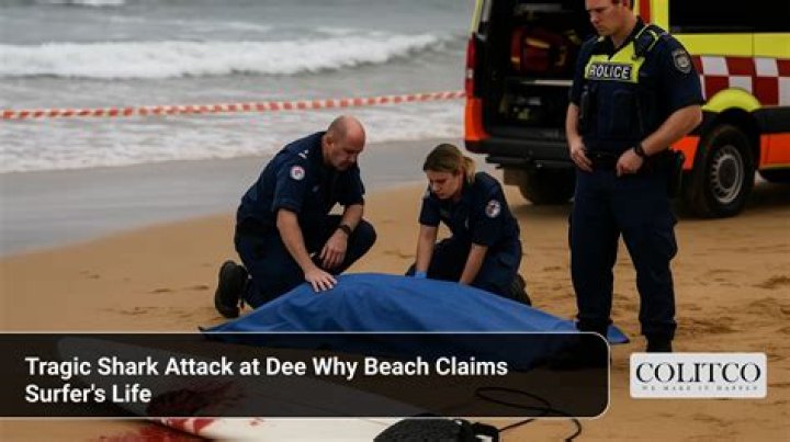 Shark Attacks At Rehoboth Beach