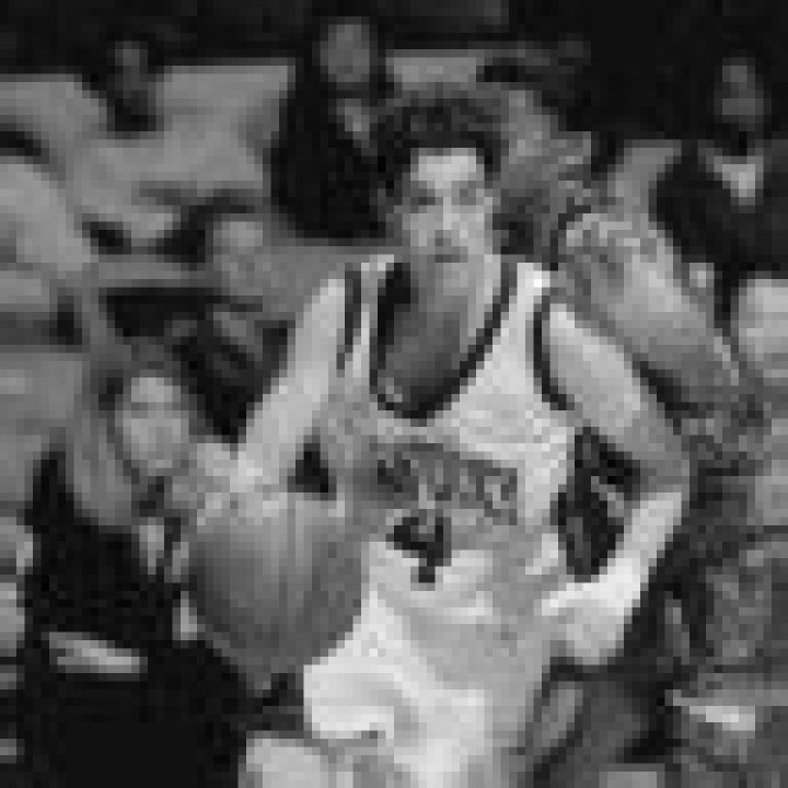 Stacey Reed Sheppard Wikipedia And Age: Jeff Sheppard Wife ·