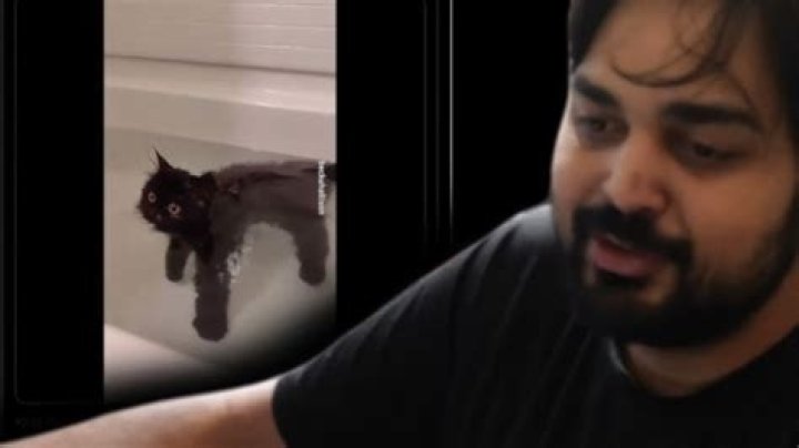 The True Story Behind The Disturbing "Cat In A Blender Original Video"