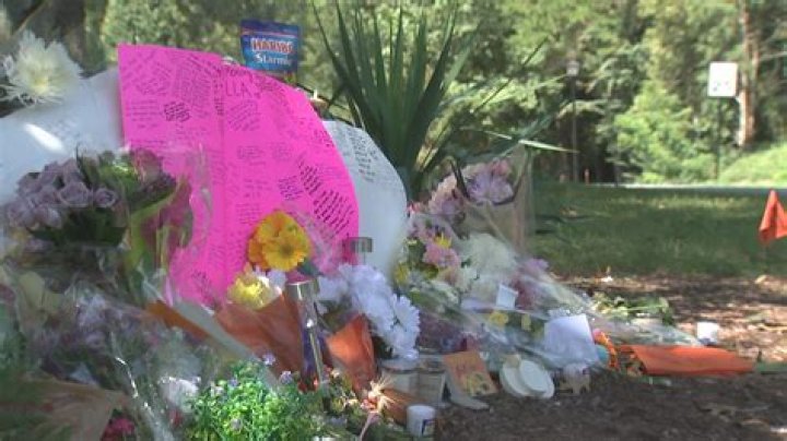 Tragic Death Of Ella Lukse Leaves Community