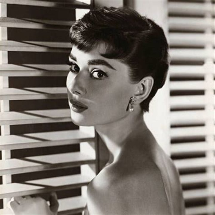 Uncover The Secrets Of Boris Sanchez's Iconic Eyebrows