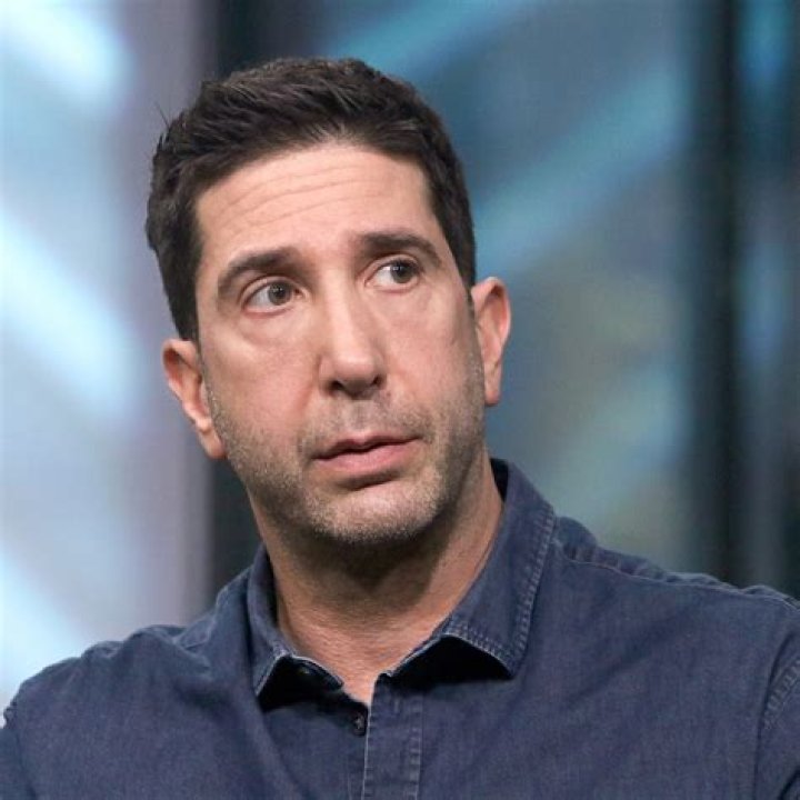 Uncovering The Secrets Of David Schwimmer's Family Life: Exclusive Insights And Revelations