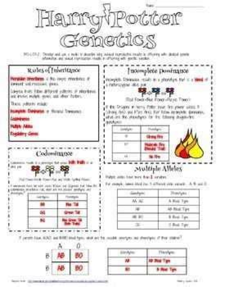 Unlock The Secrets Of Harry Potter Genetics: Discoveries And Insights Await