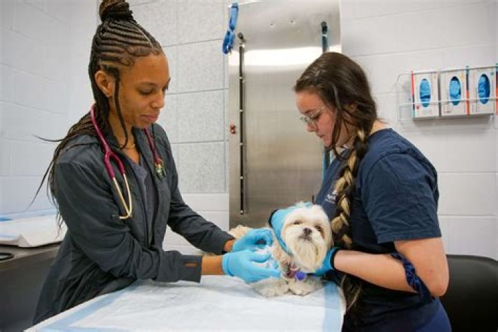Unveiling Peggy Adams Animal Rescue West