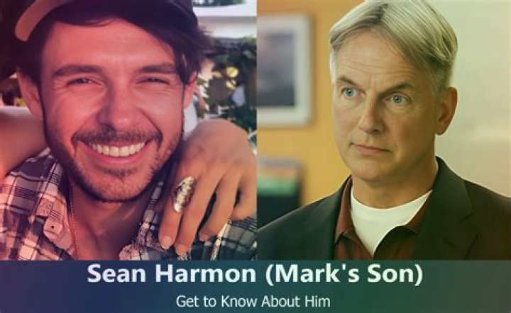 Unveiling Sean Harmon's Impact: Discoveries And Insights