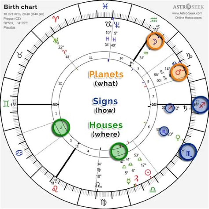 Unveiling The Astrological Profile Of Darius Daulton