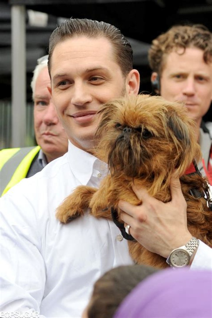 Unveiling The Enchanting World Of Tom Hardy Puppies: A Journey Of Discovery