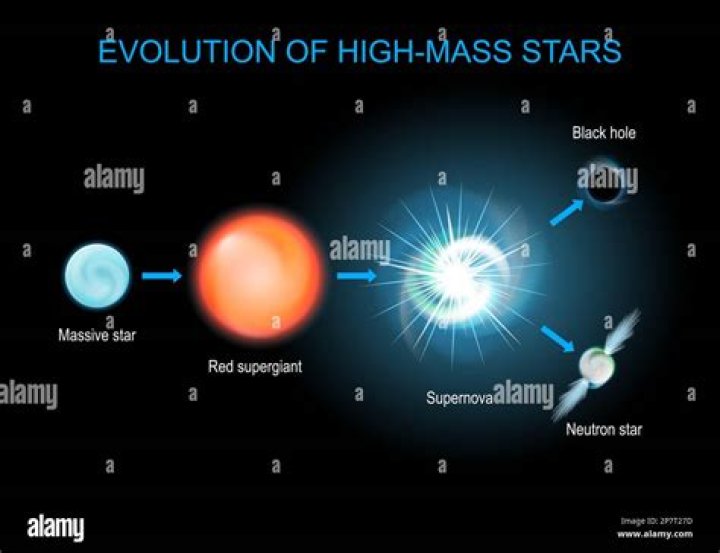 Unveiling the Explosive Demise of Massive Stars