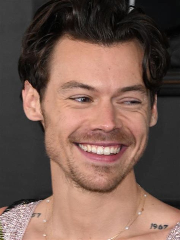 Unveiling The Phenomenon: "harry Styles Wdw" Decoded
