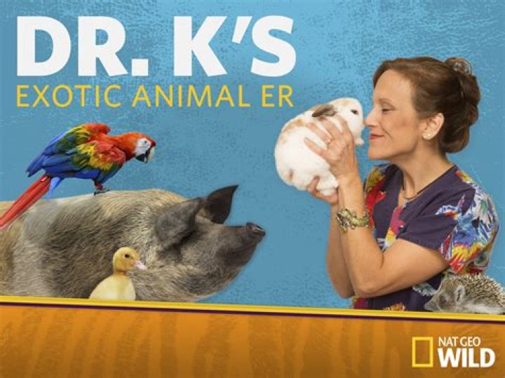 Where is Dr. K's Exotic Animal ER filmed? ·