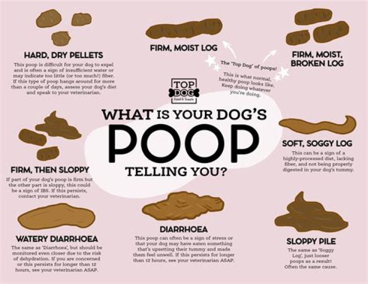 Why Do You Poop More When You Have A Cold? Heres How Seasonal Illnesses Can Mess Up Your Gut